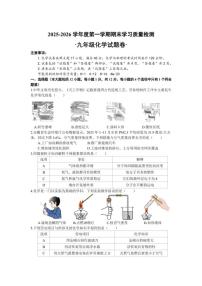 2025-2026学年安徽省芜湖市无为市九年级上学期1月期末考试化学试卷（含答案）