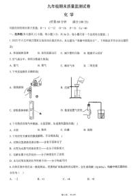 2025-2026学年湖南省长沙市长沙县九年级上学期1月期末考试化学_(含答案_)试题
