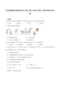 2025-2026学年河北省秦皇岛市青龙满族自治县九年级上学期期末考试化学试卷（含答案）