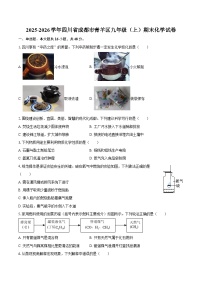 2025-2026学年四川省成都市青羊区九年级（上）期末化学试卷-自定义类型