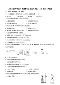 2025-2026学年四川省成都市金牛区九年级（上）期末化学试卷-自定义类型