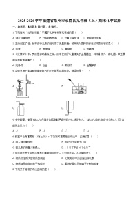 2025-2026学年福建省泉州市永春县九年级（上）期末化学试卷-自定义类型