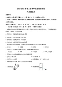 河南省鹤壁市2025-2026学年九年级上学期1月期末化学试题（原卷版+解析版）