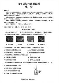2025-2026学年度四川省成都市青羊区九年级上期期末化学试题（无答案）