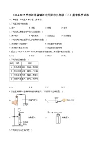 2024-2025学年江苏省镇江市丹阳市九年级（上）期末化学试卷（含答案+解析）