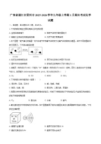 广东省湛江市雷州市2025-2026学年九年级上学期1月期末考试化学试题-自定义类型