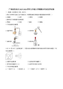 广东省茂名市2025-2026学年九年级上学期期末考试化学试卷-自定义类型