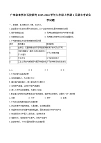 广东省东莞市五校联考2025-2026学年九年级上学期1月期末考试化学试题-自定义类型