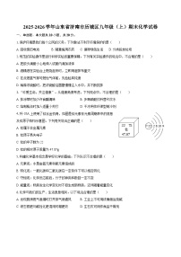 2025-2026学年山东省济南市历城区九年级（上）期末化学试卷-自定义类型