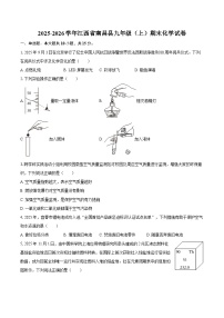 2025-2026学年江西省南昌县九年级（上）期末化学试卷-自定义类型