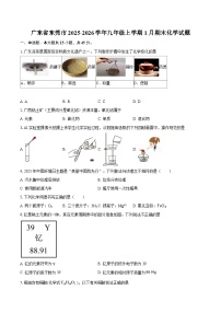 广东省东莞市2025-2026学年九年级上学期1月期末化学试题-自定义类型