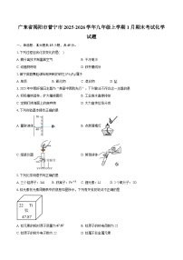 广东省揭阳市普宁市2025-2026学年九年级上学期1月期末考试化学试题-普通用卷