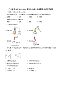 广东省茂名市2025-2026学年九年级上学期期末考试化学试卷-普通用卷