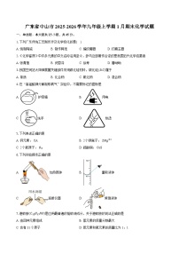 广东省中山市2025-2026学年九年级上学期1月期末化学试题-普通用卷