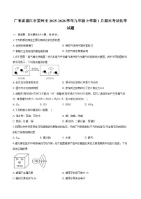 广东省湛江市雷州市2025-2026学年九年级上学期1月期末考试化学试题-普通用卷
