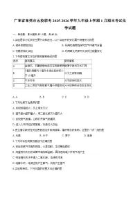 广东省东莞市五校联考2025-2026学年九年级上学期1月期末考试化学试题-普通用卷