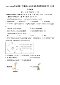 安徽省安庆市2025-2026学年九年级上学期1月期末考试化学试题（有解析）