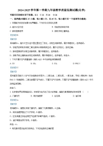 广东省梅州市兴宁市实验学校九年级上学期11月期中化学试题（解析版）-A4