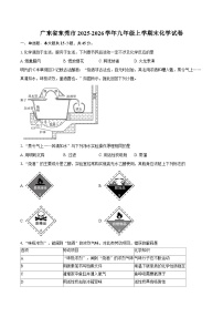 广东省东莞市2025-2026学年九年级上学期末化学试卷-普通用卷