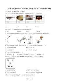 2025-2026学年广东省东莞市九年级上学期1月期末化学_(含答案_)试题
