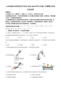 2025-2026学年山东省烟台市经济技术开发区九年级上学期期末考试化学试卷（含解析）