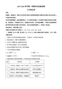 广东省深圳市罗湖区2025-2026学年九年级上学期期末考试化学试题（含答案）