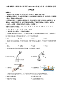 山东省烟台市经济技术开发区2025-2026学年九年级上学期期末考试化学试卷（含解析）