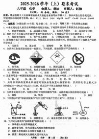 2026年河南省实验中学九年级上学期期末化学试卷及答案