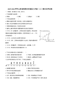 2025-2026学年山东省淄博市沂源县九年级（上）期末化学试卷-自定义类型