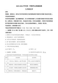 2025-2026学年广东省深圳市罗湖区九年级上学期期末考试化学试题（含答案）