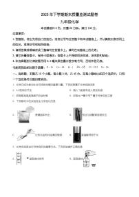 湖南省常德市临澧县2025-2026学年九年级上学期期末考试化学试题（有解析）