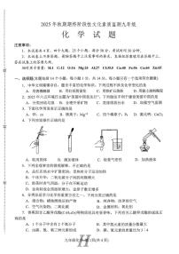 河南省南阳市唐河县2025-2026学年九年级上学期2月期末考试化学试题