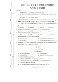 河南省驻马店市平舆县2025-2026学年九年级上学期2月期末考试化学试题