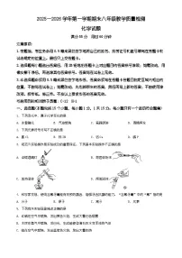 山东省德州市宁津县2025-2026学年八年级上学期期末学情自测化学试卷（有解析）