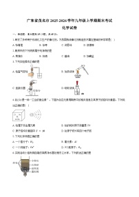 广东省茂名市2025-2026学年九年级上学期期末考试化学试卷（含答案）