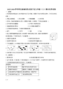 河北省秦皇岛市抚宁区2025-2026学年九年级（上）期末化学试卷（含答案）