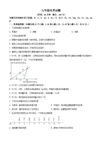 山东省淄博市沂源县2025-2026学年九年级上学期1月期末考试化学试题（原卷+解析）