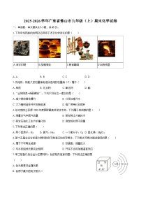 2025-2026学年广东省佛山市九年级（上）期末化学试卷-自定义类型
