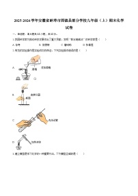 2025-2026学年安徽省蚌埠市固镇县部分学校九年级（上）期末化学试卷-自定义类型