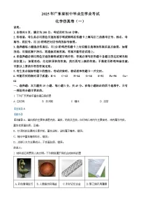2025年广东省东莞市南城开心实验学校中考一模化学试题（解析版）-A4