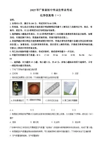 2025年广东省东莞市南城开心实验学校中考一模化学试题（原卷版）-A4