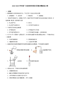 广东省深圳市福田区九年级上学期期末模拟化学练习卷-A4