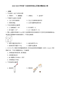 广东省深圳市南山区九年级上学期化学期末模拟练习卷-A4