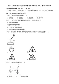 广东省广州市增城中学九年级上学期期末考试化学试卷-A4