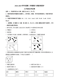 广东省茂名市高州市十校联考九年级下学期3月月考化学试题-A4