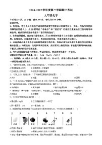 广东省茂名市电白区九年级下学期期中考试化学试题-A4