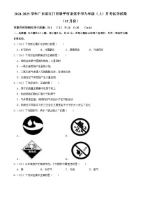 广东省江门市恩平市圣堂中学九年级上学期12月月考化学试题 -A4