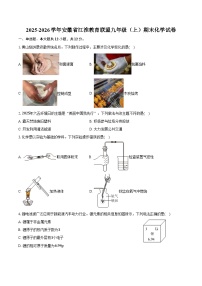 2025-2026学年安徽省江淮教育联盟九年级（上）期末化学试卷（含答案）