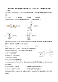 2025-2026学年湖南省长沙市雨花区九年级（上）期末化学试卷（含答案）