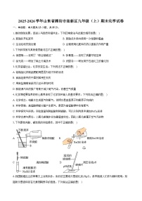 2025-2026学年山东省潍坊市高新区九年级（上）期末化学试卷（含答案）